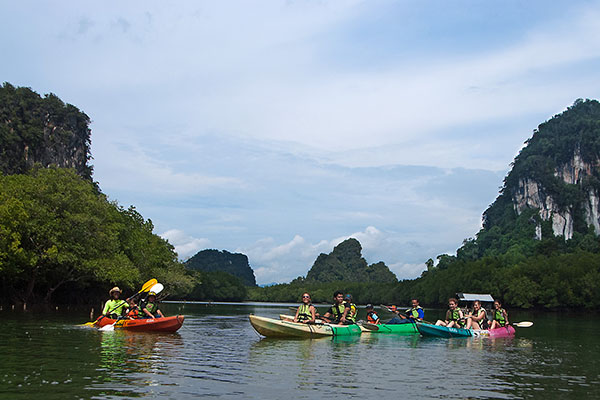 Paddle along the cool river lined with natural forest.