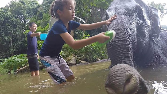 Krabi elephant bath experience
