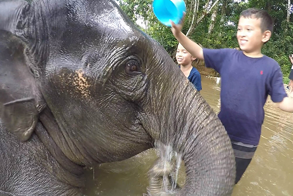 Bathing with an elephant in Krabi