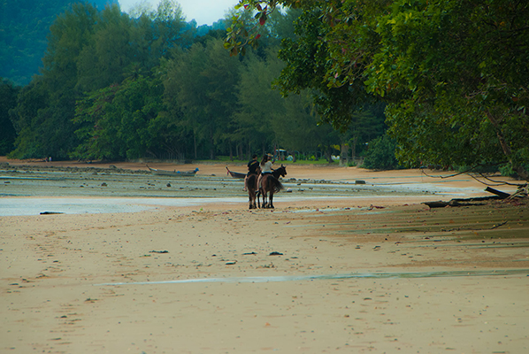 Sunset beach horse ride in Krabi
