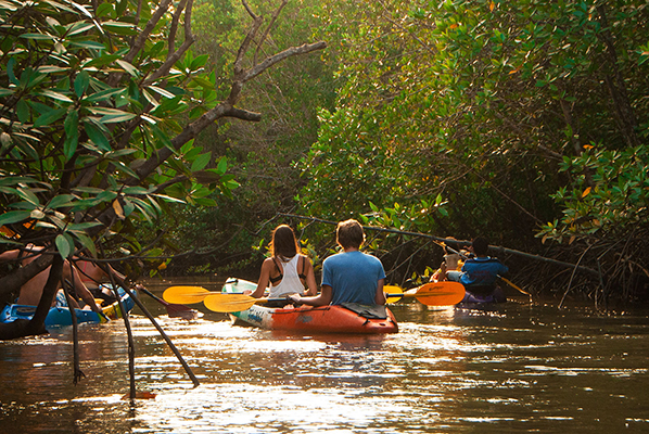 krabi-kayak-tour-at-thalane-bay-in-the-mangroves