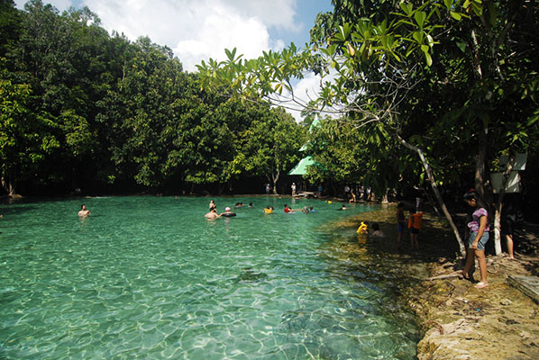 Krabi Sightseeing Tours Krabi Hot Springs Emerald Pool And Tiger Cave Temple