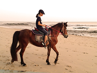Krabi Horse Riding on the Beach at Aonang